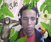 a la foret les singes les oiseaux